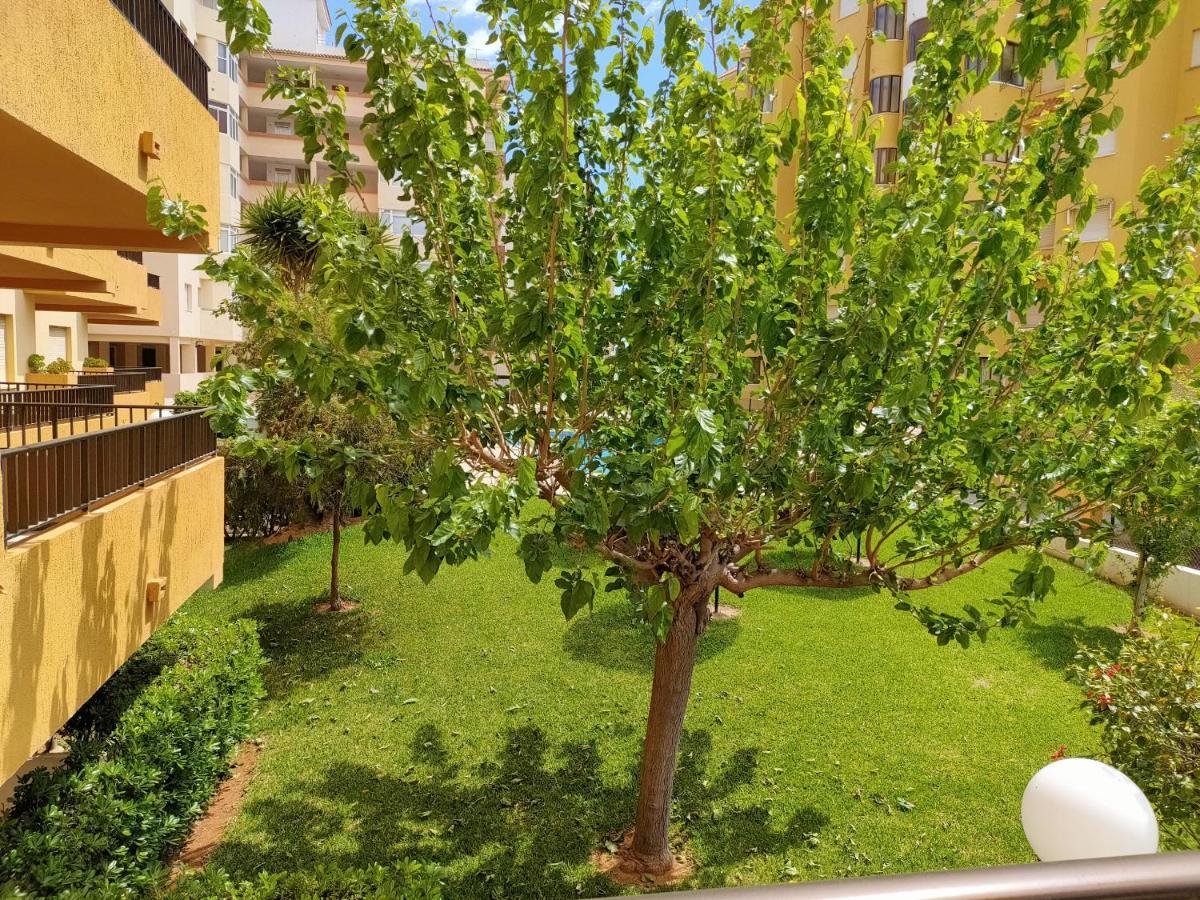 Tamaris Playa Solo Familias Serviplaya Playa De Xeraco Kültér fotó